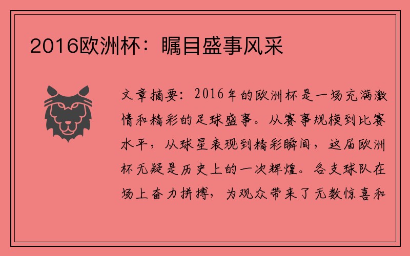 2016欧洲杯：瞩目盛事风采