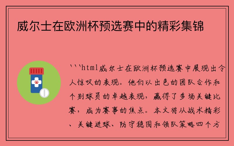 威尔士在欧洲杯预选赛中的精彩集锦