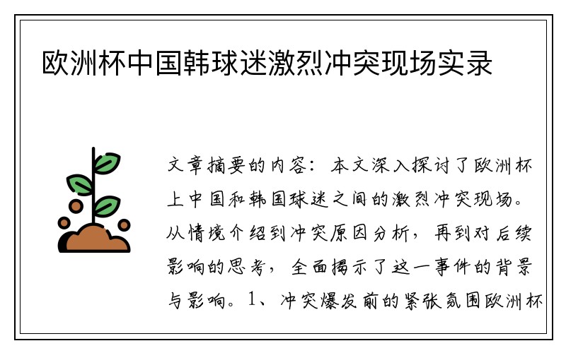 欧洲杯中国韩球迷激烈冲突现场实录